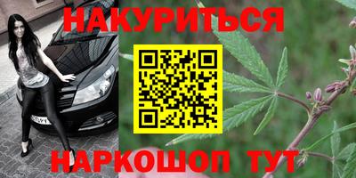 шишки Бузулук