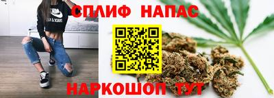 jwh Владимир